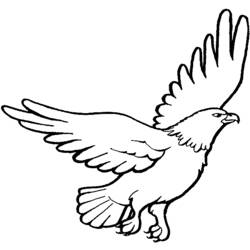 ぬりえ: 鷲 - 無料の印刷可能なぬりえページ