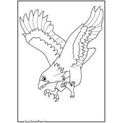 ぬりえページ: 鷲 (動物) #290 - 無料の印刷可能なぬりえページ