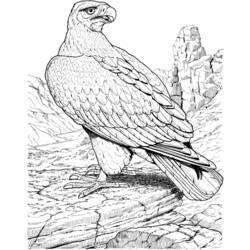 ぬりえページ: 鷲 (動物) #291 - 無料の印刷可能なぬりえページ