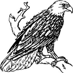 ぬりえページ: 鷲 (動物) #292 - 無料の印刷可能なぬりえページ
