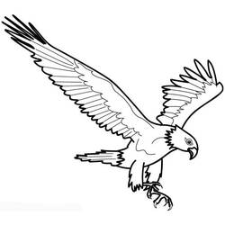 ぬりえページ: 鷲 (動物) #294 - 無料の印刷可能なぬりえページ