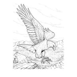 ぬりえページ: 鷲 (動物) #296 - 無料の印刷可能なぬりえページ