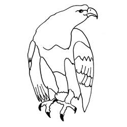 ぬりえページ: 鷲 (動物) #316 - 無料の印刷可能なぬりえページ