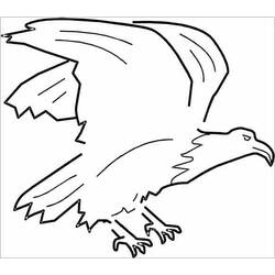 ぬりえページ: 鷲 (動物) #317 - 無料の印刷可能なぬりえページ