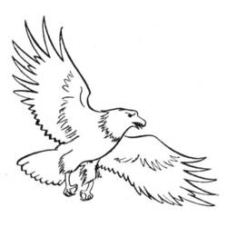 ぬりえページ: 鷲 (動物) #318 - 無料の印刷可能なぬりえページ