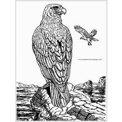 ぬりえページ: 鷲 (動物) #324 - 無料の印刷可能なぬりえページ