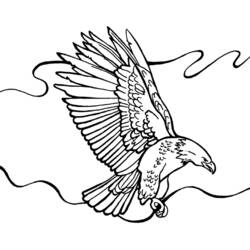 ぬりえページ: 鷲 (動物) #333 - 無料の印刷可能なぬりえページ