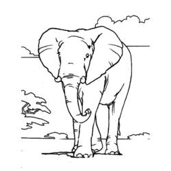 ぬりえページ: 象 (動物) #6301 - 無料の印刷可能なぬりえページ