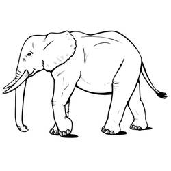 ぬりえページ: 象 (動物) #6310 - 無料の印刷可能なぬりえページ