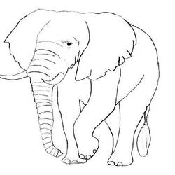 ぬりえページ: 象 (動物) #6316 - 無料の印刷可能なぬりえページ