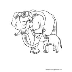 ぬりえページ: 象 (動物) #6337 - 無料の印刷可能なぬりえページ