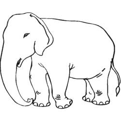 ぬりえページ: 象 (動物) #6342 - 無料の印刷可能なぬりえページ