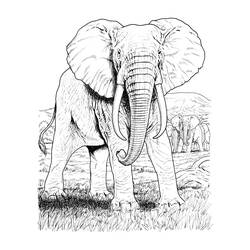 ぬりえページ: 象 (動物) #6395 - 無料の印刷可能なぬりえページ