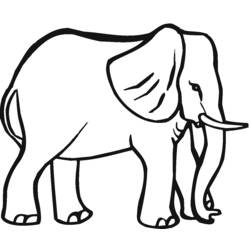ぬりえページ: 象 (動物) #6401 - 無料の印刷可能なぬりえページ