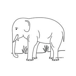 ぬりえページ: 象 (動物) #6440 - 無料の印刷可能なぬりえページ