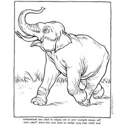 ぬりえページ: 象 (動物) #6442 - 無料の印刷可能なぬりえページ