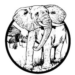 ぬりえページ: 象 (動物) #6485 - 無料の印刷可能なぬりえページ