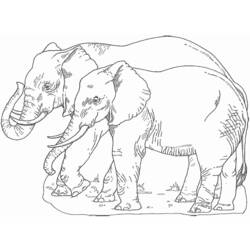 ぬりえページ: 象 (動物) #6486 - 無料の印刷可能なぬりえページ