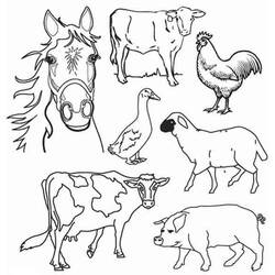 ぬりえページ: 農場の動物 (動物) #21381 - 無料の印刷可能なぬりえページ