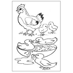 ぬりえページ: 農場の動物 (動物) #21440 - 無料の印刷可能なぬりえページ