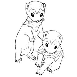 ぬりえページ: フェレット (動物) #205384 - 無料の印刷可能なぬりえページ