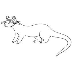 ぬりえページ: フェレット (動物) #205385 - 無料の印刷可能なぬりえページ