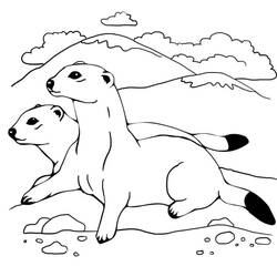 ぬりえページ: フェレット (動物) #205388 - 無料の印刷可能なぬりえページ