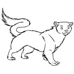 ぬりえページ: フェレット (動物) #205392 - 無料の印刷可能なぬりえページ