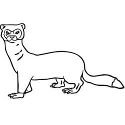 ぬりえページ: フェレット (動物) #205393 - 無料の印刷可能なぬりえページ