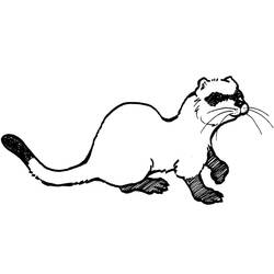 ぬりえページ: フェレット (動物) #205397 - 無料の印刷可能なぬりえページ
