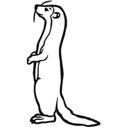 ぬりえページ: フェレット (動物) #205400 - 無料の印刷可能なぬりえページ