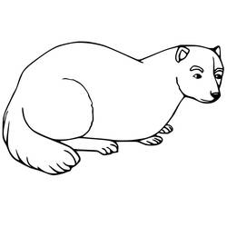 ぬりえページ: フェレット (動物) #205407 - 無料の印刷可能なぬりえページ