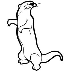 ぬりえページ: フェレット (動物) #205411 - 無料の印刷可能なぬりえページ