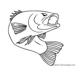 ぬりえページ: 魚 (動物) #17040 - 無料の印刷可能なぬりえページ