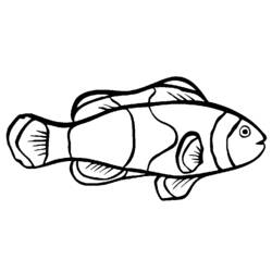 ぬりえページ: 魚 (動物) #17058 - 無料の印刷可能なぬりえページ