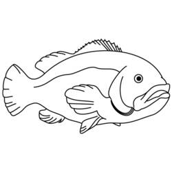 ぬりえページ: 魚 (動物) #17124 - 無料の印刷可能なぬりえページ