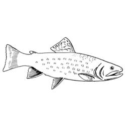 ぬりえページ: 魚 (動物) #17136 - 無料の印刷可能なぬりえページ