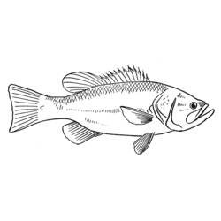 ぬりえページ: 魚 (動物) #17170 - 無料の印刷可能なぬりえページ