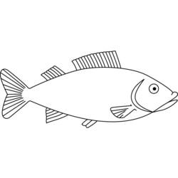 ぬりえ: 魚 - 無料の印刷可能なぬりえページ
