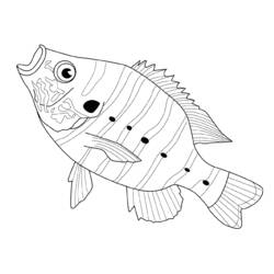 ぬりえページ: 魚 (動物) #17201 - 無料の印刷可能なぬりえページ