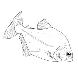 ぬりえページ: 魚 (動物) #17213 - 無料の印刷可能なぬりえページ