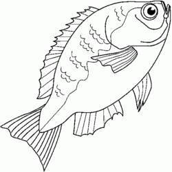 ぬりえページ: 魚 (動物) #17217 - 無料の印刷可能なぬりえページ