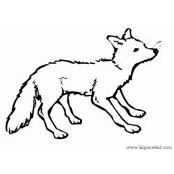 ぬりえページ: 狐 (動物) #14963 - 無料の印刷可能なぬりえページ