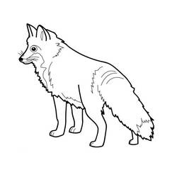 ぬりえページ: 狐 (動物) #14967 - 無料の印刷可能なぬりえページ