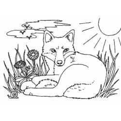 ぬりえページ: 狐 (動物) #15009 - 無料の印刷可能なぬりえページ