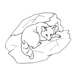 ぬりえページ: 狐 (動物) #15019 - 無料の印刷可能なぬりえページ