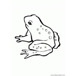 ぬりえページ: 蛙 (動物) #7592 - 無料の印刷可能なぬりえページ