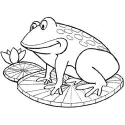 ぬりえページ: 蛙 (動物) #7594 - 無料の印刷可能なぬりえページ