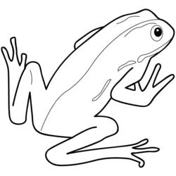 ぬりえページ: 蛙 (動物) #7596 - 無料の印刷可能なぬりえページ