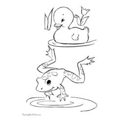 ぬりえページ: 蛙 (動物) #7599 - 無料の印刷可能なぬりえページ